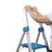 9 Steps Aluminium Queen Ladder With Handrail ALUCLASS (QL09) - ALUCLASS MY