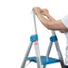 10 Steps Aluminium Queen Ladder With Handrail ALUCLASS (QL10) - ALUCLASS MY